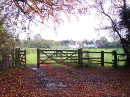 Picture